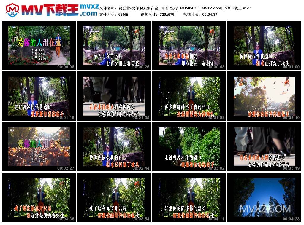 贾富营-爱你的人泪在流_国语_流行_MB505035